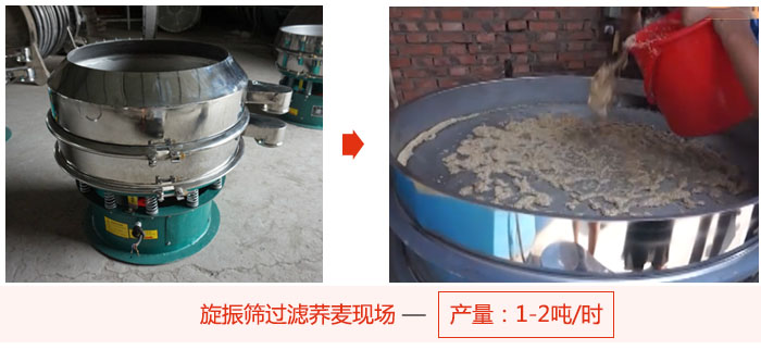 旋振篩過濾蕎麥現(xiàn)場，產量可達2噸每小時。